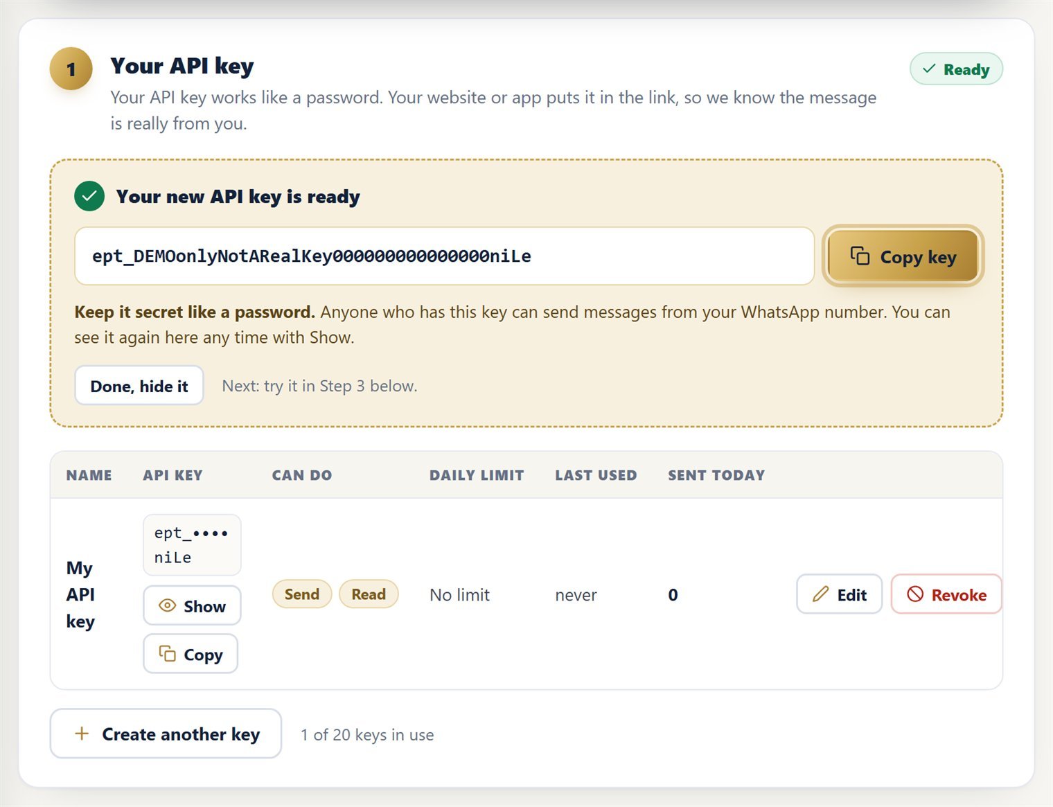 The new API key shown with a Copy key button and a warning to keep it secret