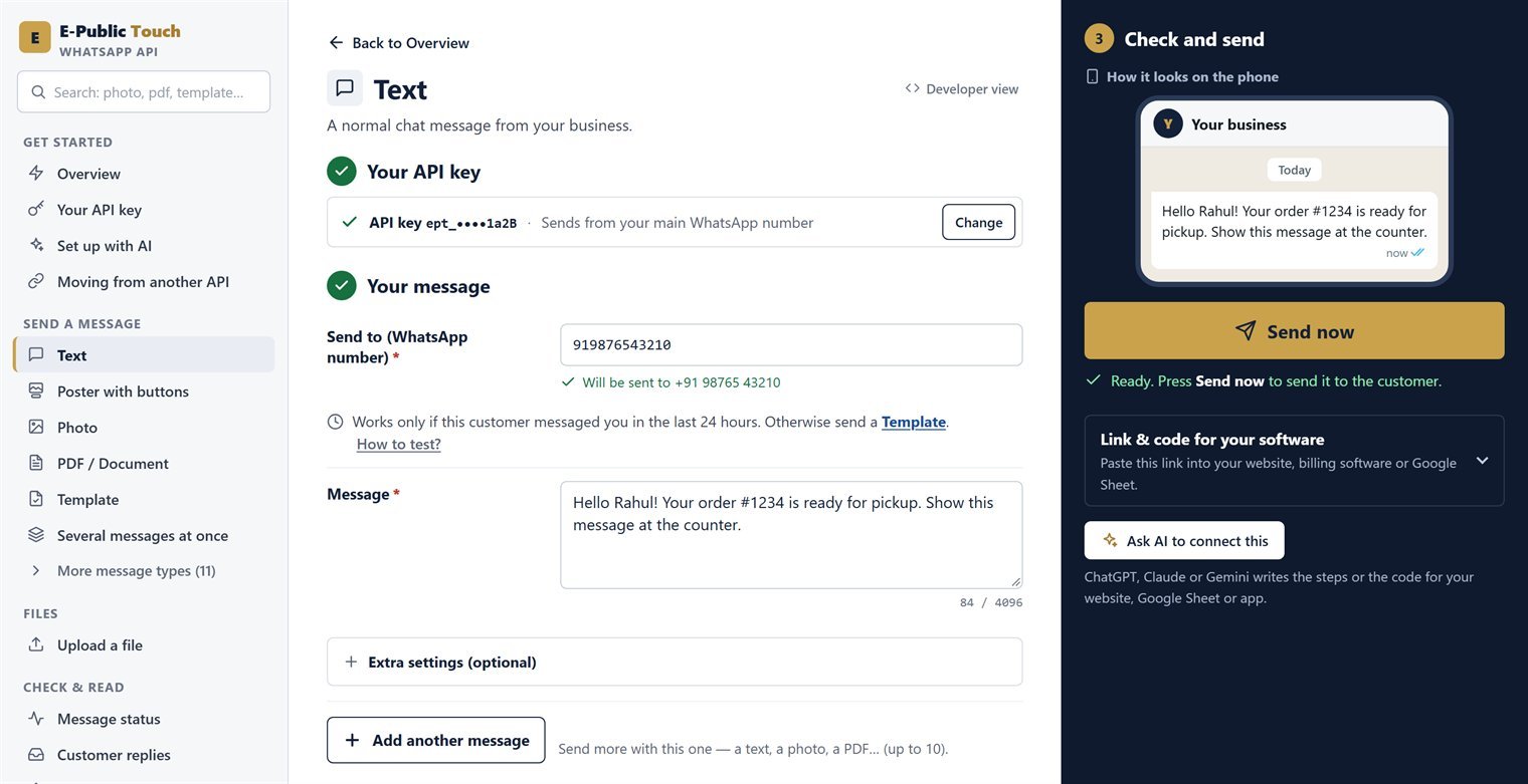 The Text page of the API Tester: the menu on the left, step 1 and step 2 in the middle, and Check and send with the phone preview and Send now in the dark panel on the right